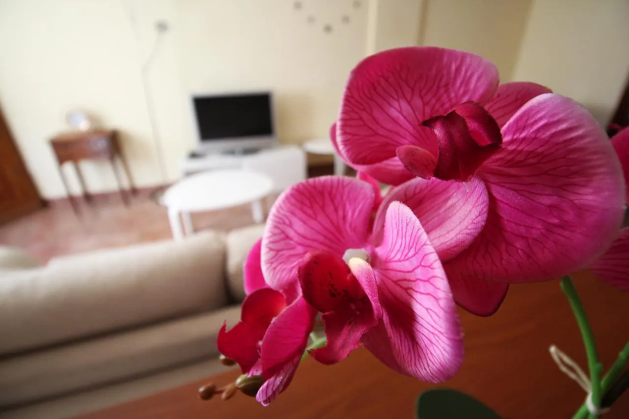 Vivaldi Roquetas De Mar Apartment